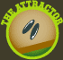 The Attractor